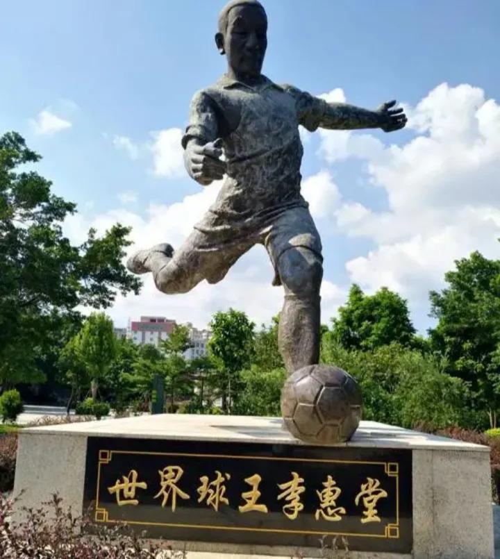 足球的前世今生动画片,足球的前世今生故事