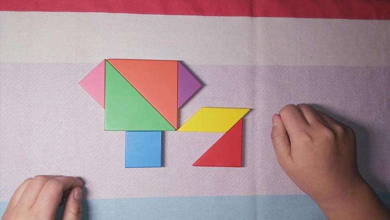 婴幼儿玩具探秘第九期：暗藏智慧的七巧板