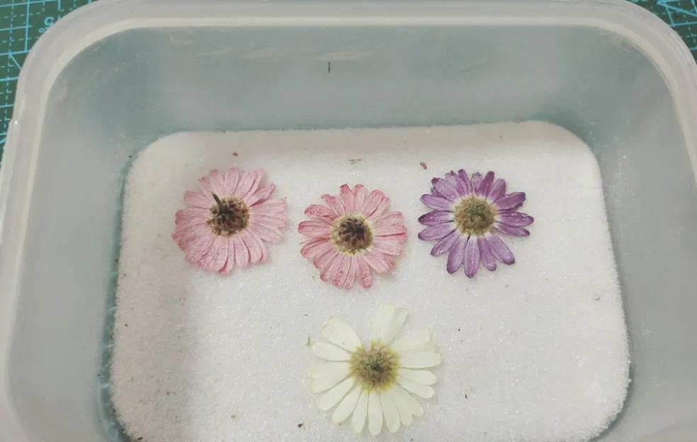 鲜花制作干花方法教程,鲜花制作干花的方法