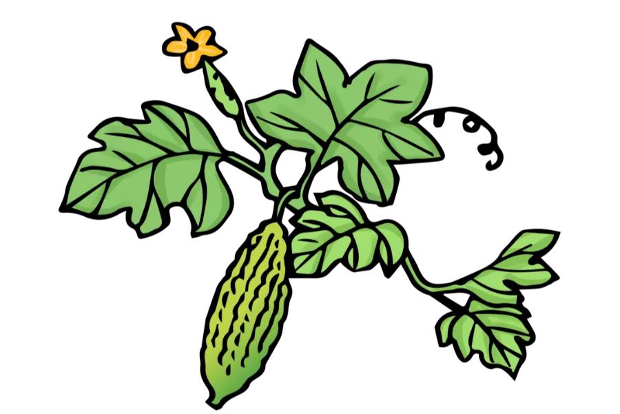 火气大嘴皮干燥起皮长泡,天气干燥嘴里面起泡怎么办