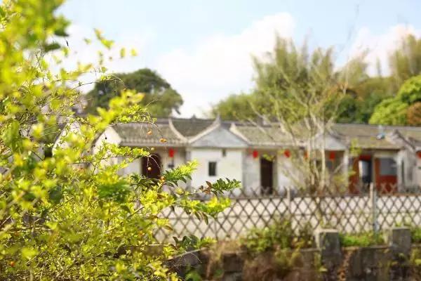 深圳最具特点的十个小镇,深圳深业特点小镇在哪里