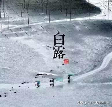 农事节气谚语,农事歌大全