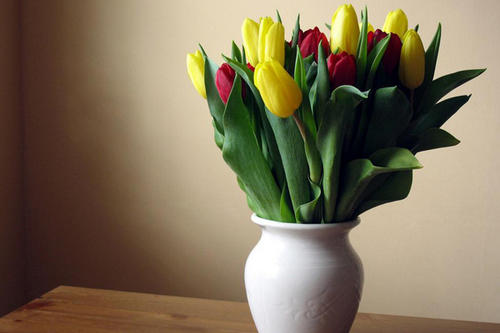 花艺插花常见花名有哪些,鲜花插花的技巧有哪些