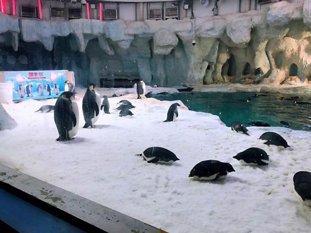 珠海长隆宇宙飞船附近民宿推荐,珠海长隆附近民宿公寓推荐