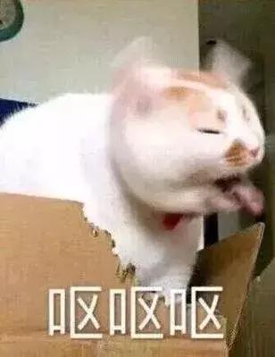 泰国产品必买款式,泰国购物必买眼影推荐哪款