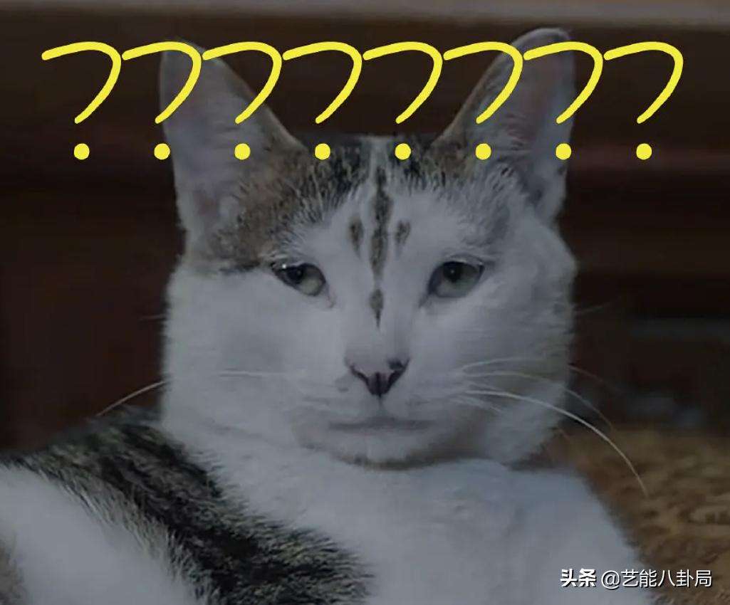 遇龙全员超燃打戏来袭,遇龙男主演技对比