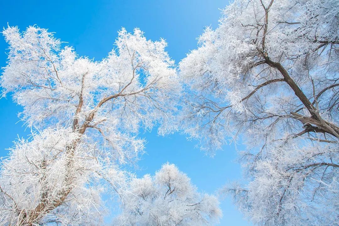 冬天去哪儿玩比较暖和,7-12月适合去哪儿玩儿