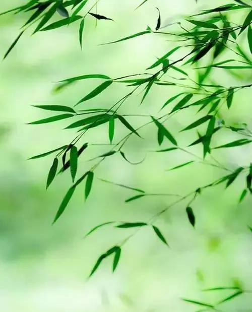 100个人生哲理短片,30个经典人生哲理