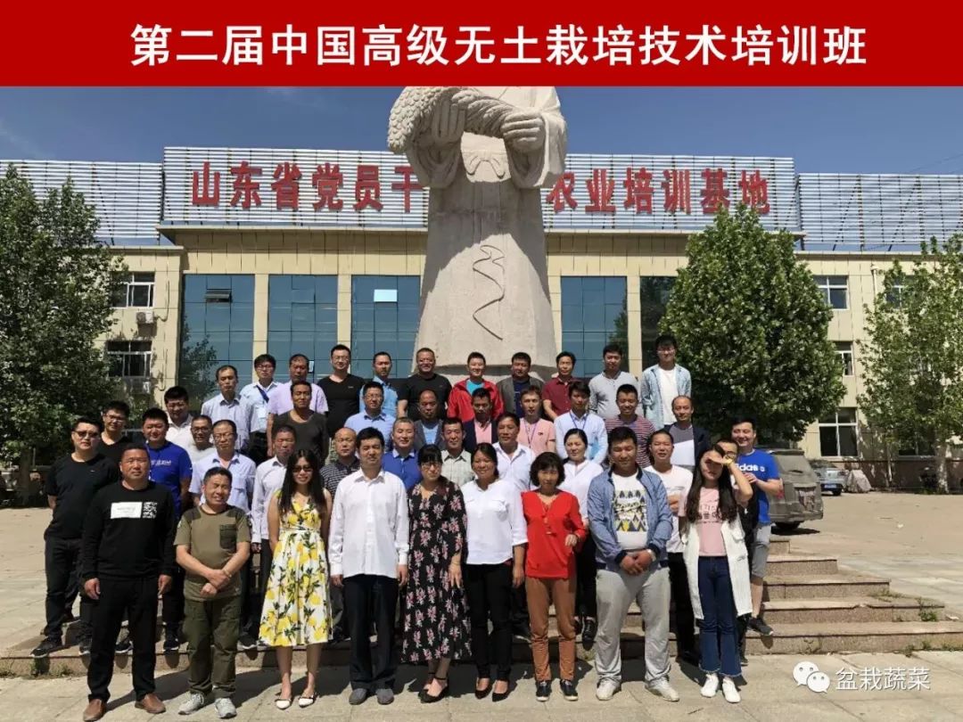 无土栽培和土壤种植技术研究所,农业无土栽培技术培训