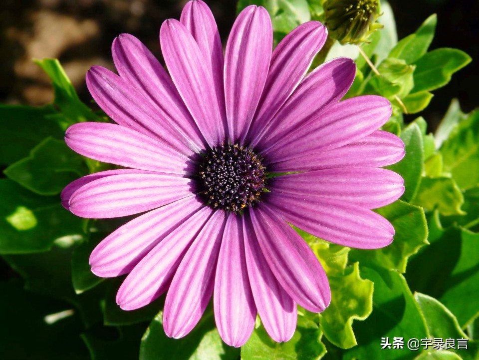 个性签名有深意的句子,个性签名简洁有深度的句子