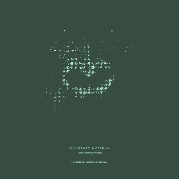 31个惊艳的数据可视化,顶级可视化作品