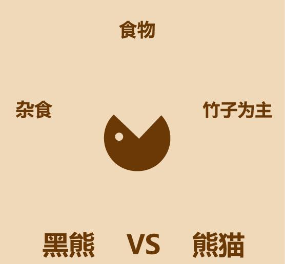 1分钟内黑熊走多远,大熊猫和黑熊谁厉害