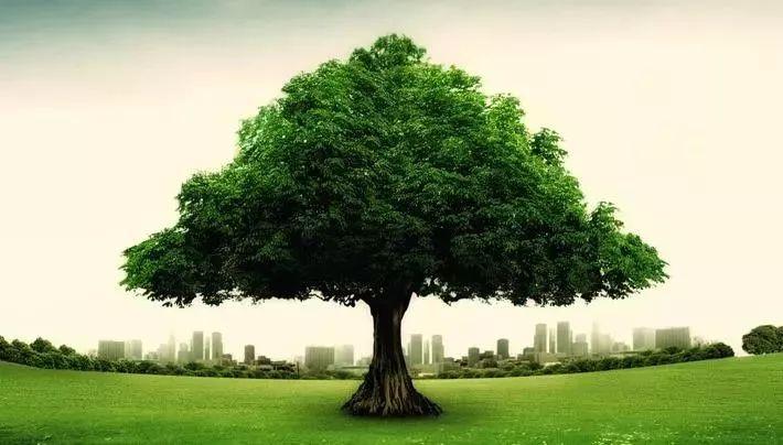 针灸学太白在哪条经脉,再看针灸学之经脉篇