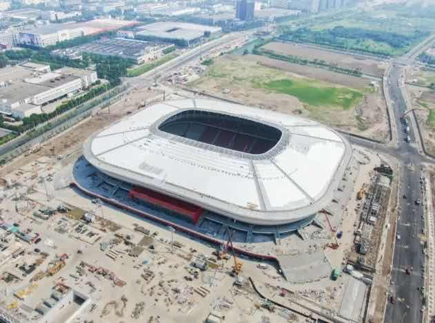 上海上港足球发展现状,上海上港专业足球场草坪