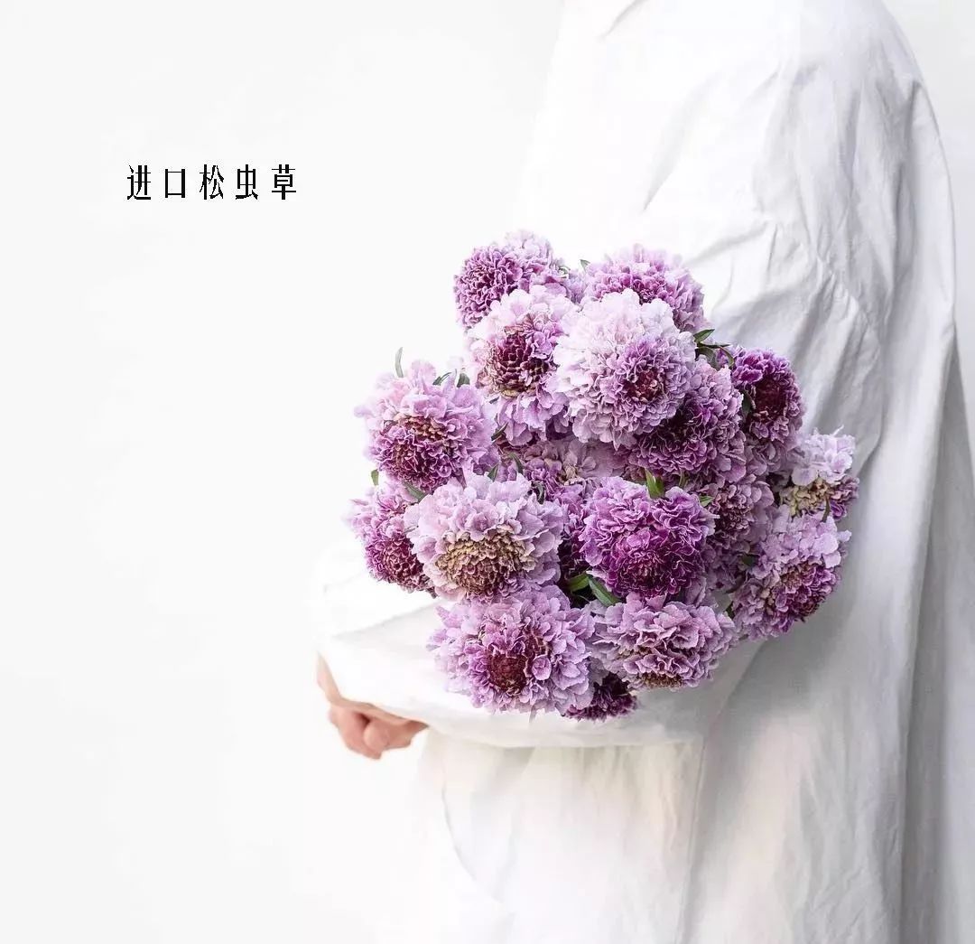 花店里同款的两种不同价格的花材,花店最容易被顾客误解的几种花材