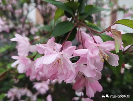 ps800*800像素拖图片进去很模糊,ps如何把不清晰的照片变清晰