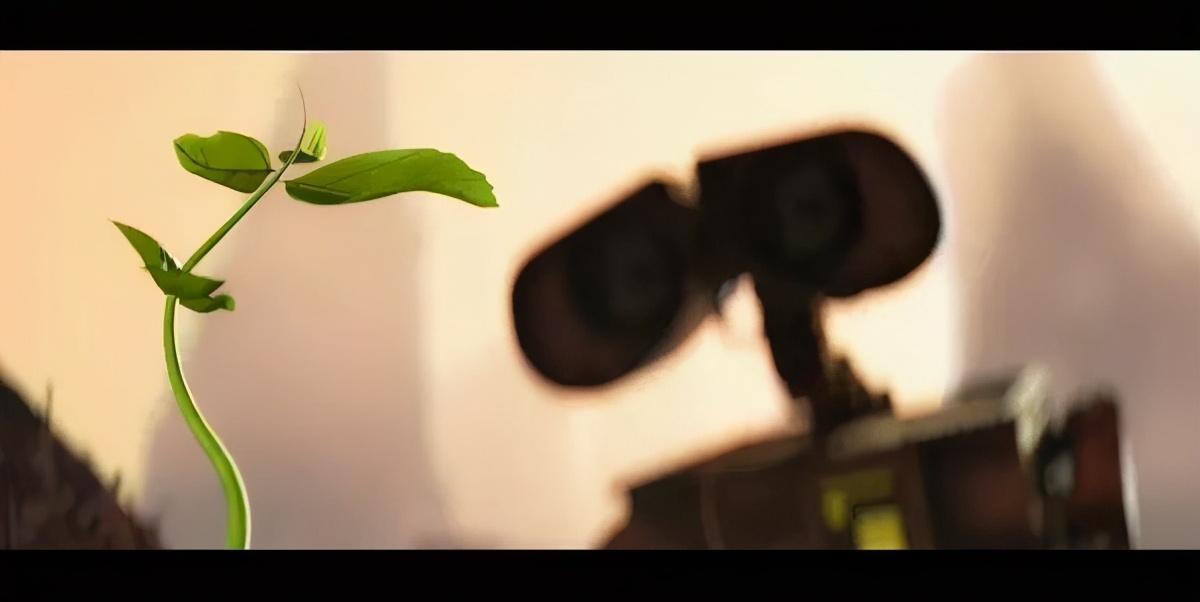 植物最不喜欢阳光中的什么色光,植物最不喜欢哪种颜色的光