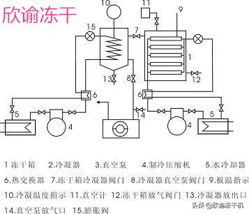 冷冻式干燥机工作原理,冷冻式干燥机原理