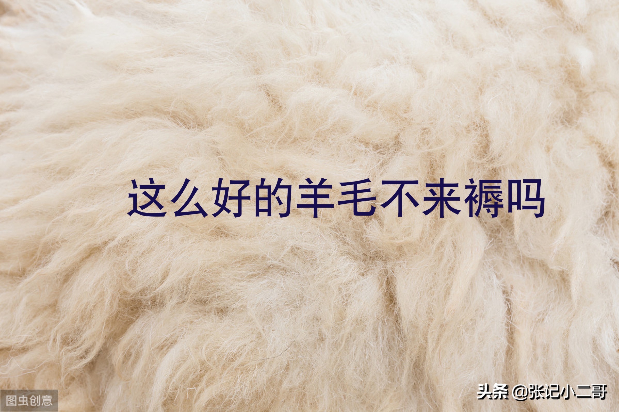 继拼多多错发100元通用卷之后，甲乙丙丁再错发海量100元通用卷