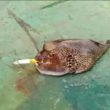 看看船员兄弟在船过年模式