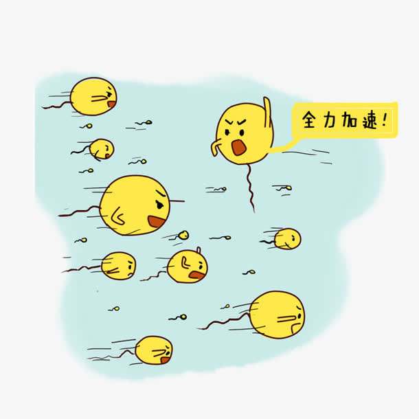 怀孕要用什么样的试纸可以测出,怀孕测排卵什么时候开始测