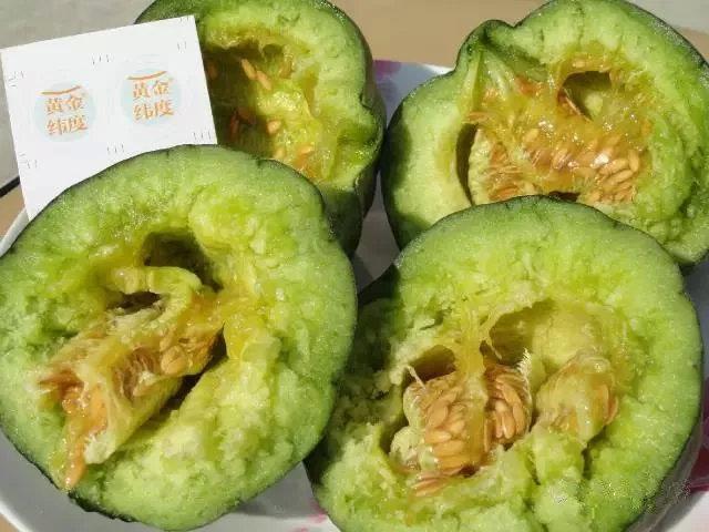 五原灯笼红香瓜,五原灯笼红香瓜价格