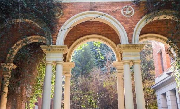 再见了网易云,再见了大美云县