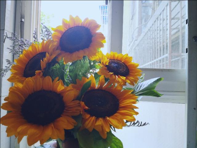 父亲节快到了又想起了我的爸爸,父亲节让我想起了自己的爸爸