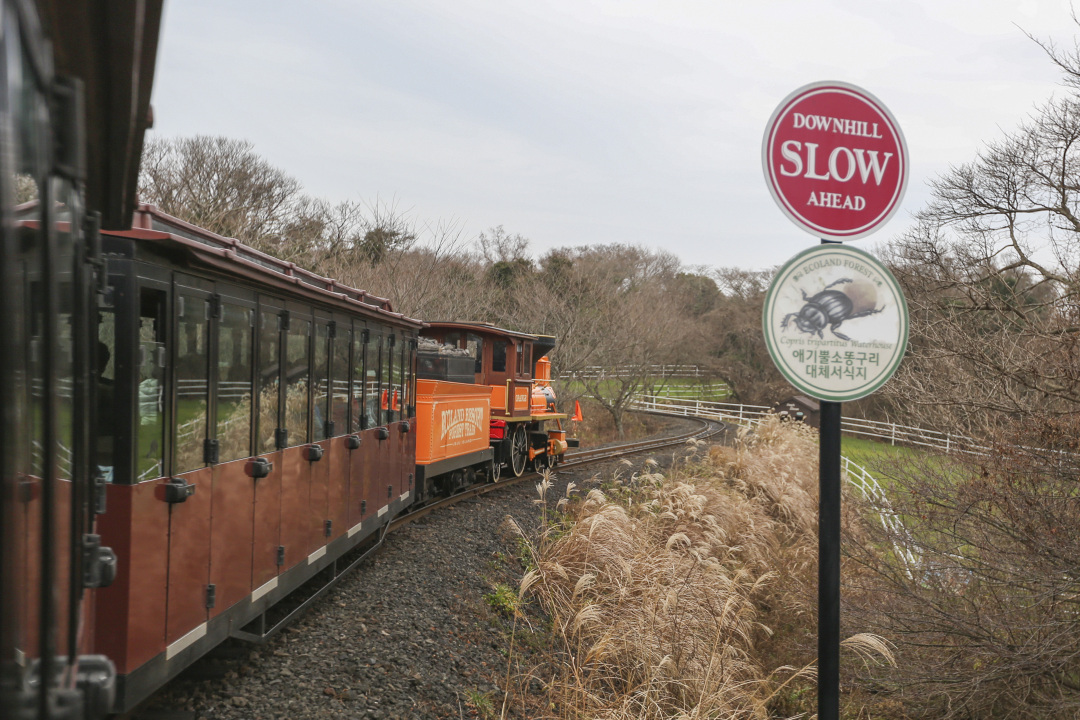济州岛四天三晚旅游攻略,济州岛四天三晚旅游攻略图