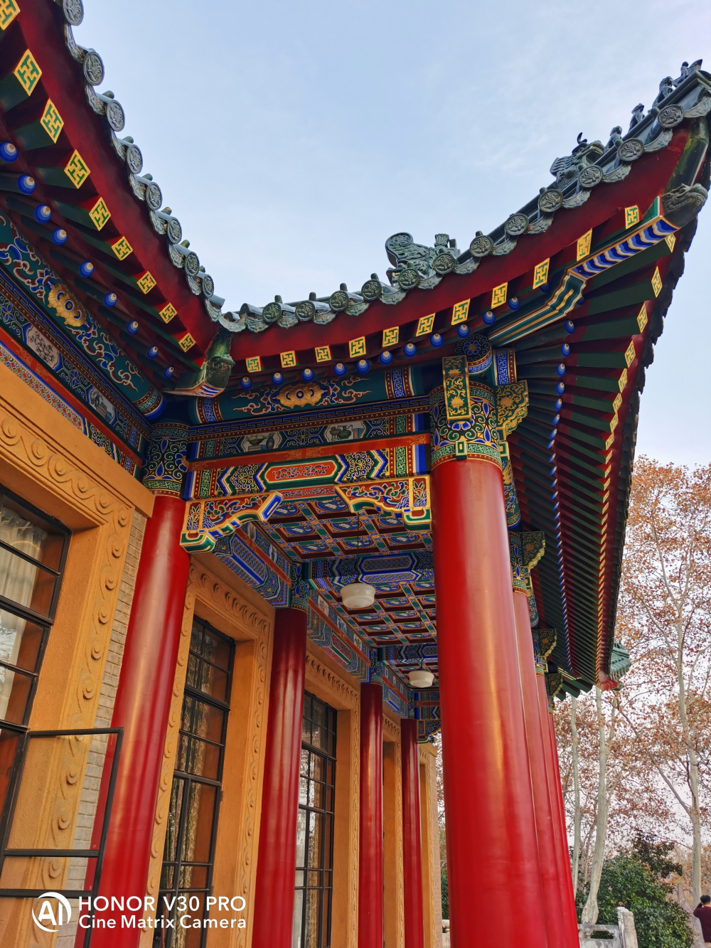 5g旗舰性价比高,nova65g和光荣v30pro哪个好