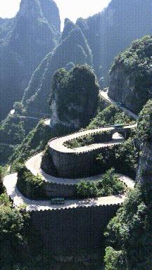 搞笑gif狗子我为这个家操碎了心,搞笑gif图片狗子都开始学坏了