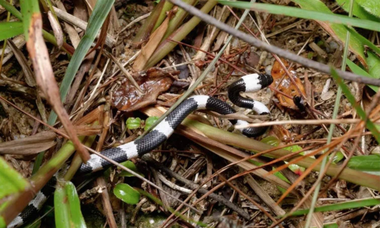 钓鱼最危险的钓点,冬钓野钓最毒钓点
