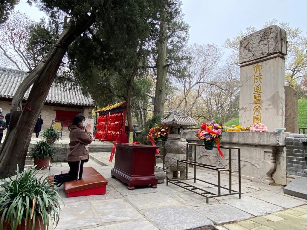 孔子葬地的秘密,孔子坟墓在哪儿