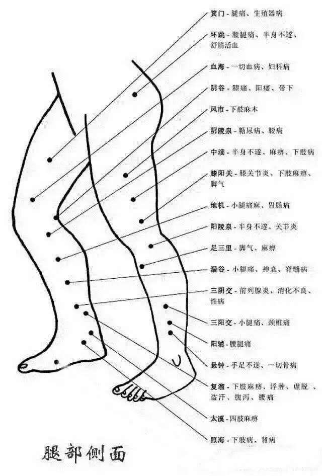 把穴位像药物一样分类后，运用竟如此简单