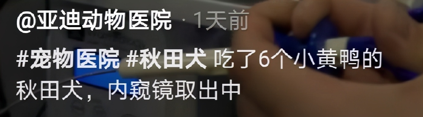 广东朋友发的，心酸中带着一丝好笑|冷段子1823