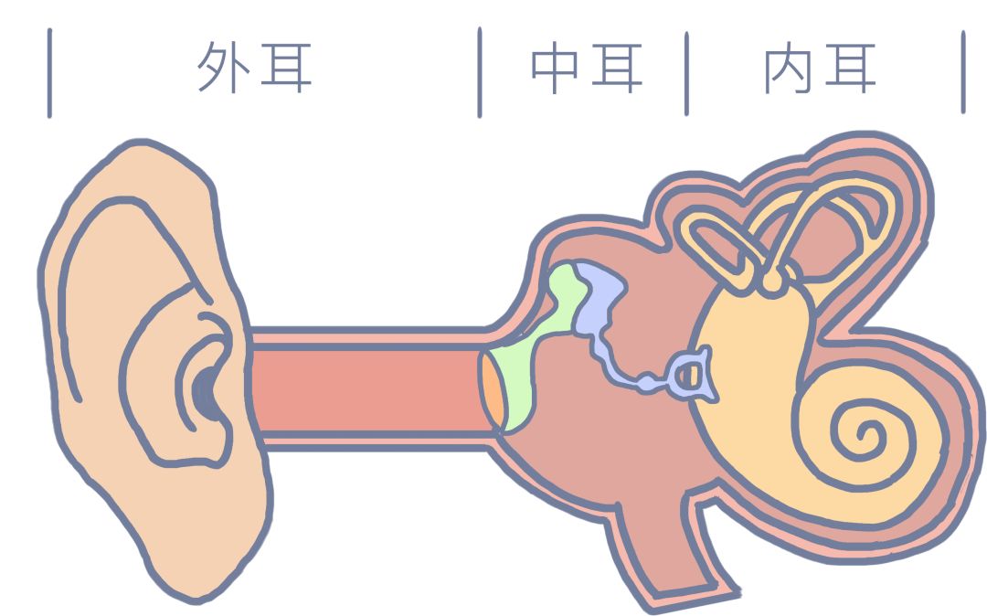 晚上睡不着耳鸣心烦意乱怎么办,耳鸣睡一觉就能缓解