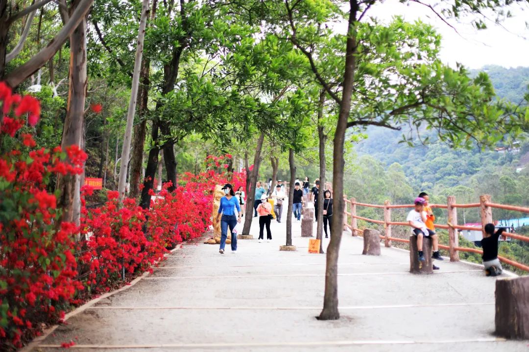 超灵验的姻缘福地！离广州深圳不到一小时，踏青赏花祈福康养首选