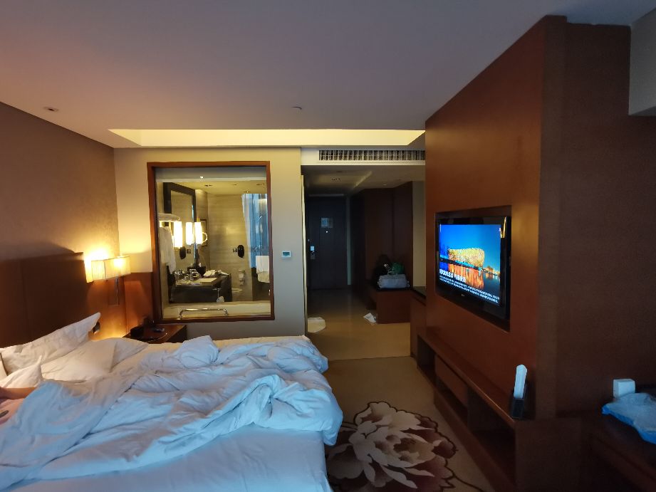 沈阳希尔顿逸林价格,沈阳希尔顿逸林酒店值得入手吗