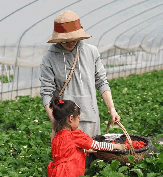 超大檐渔夫帽孙俪同款,冬天渔夫帽女款孙俪同款