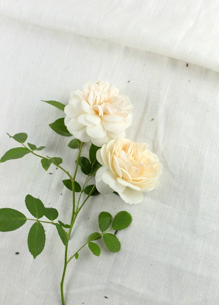 霸气经典说说适合发朋友圈的句子,最近朋友圈很流行的说说句句经典