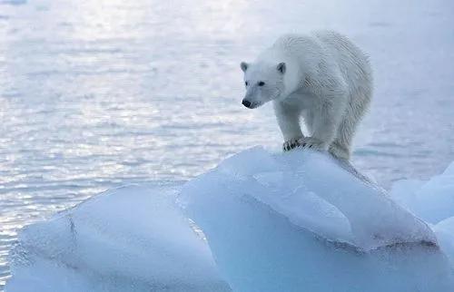 一位瓷砖加工厂老板的自述：今年活下来是头等大事