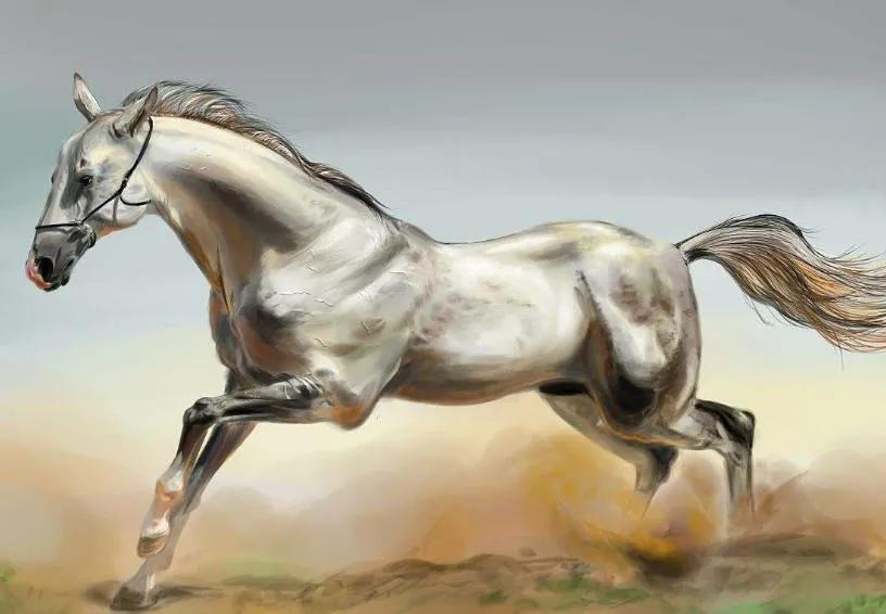 所谓白马怕青牛马跟牛真的不好吗,古语说白马不能见青牛是啥意思啊