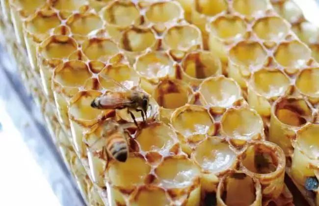 日本的美白针,日本最强美白针