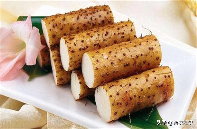 淮山高产施用微量元素方法,淮山高产优质栽培技术研究