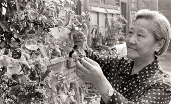 清朝最后一名格格是谁,清朝最后一位格格有几个兄弟姐妹