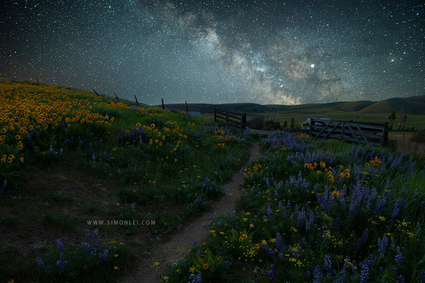 摄影ps景深合成的方法,ps景深合成焦点堆叠