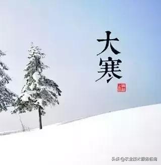 农事节气谚语,农事歌大全