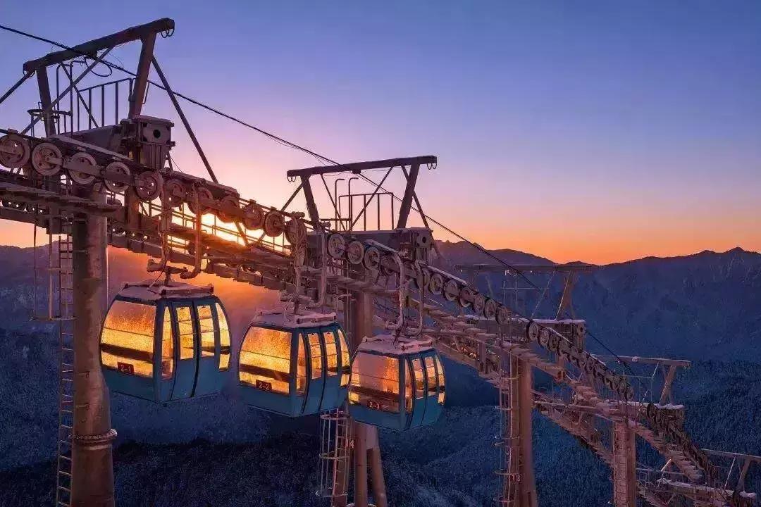 万亩杜鹃花开！邂逅野生水鹿，观云海住树屋，成都自驾3.5h就到！