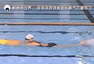 速泳25米自由泳速成,抬头式自由泳的速成方法