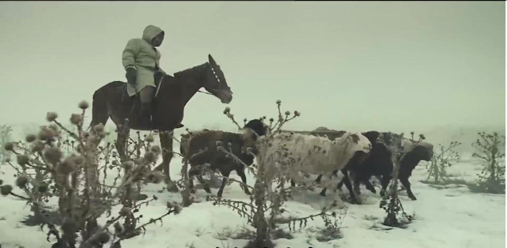 放羊老头跑了三天三夜,放羊老人和狼王